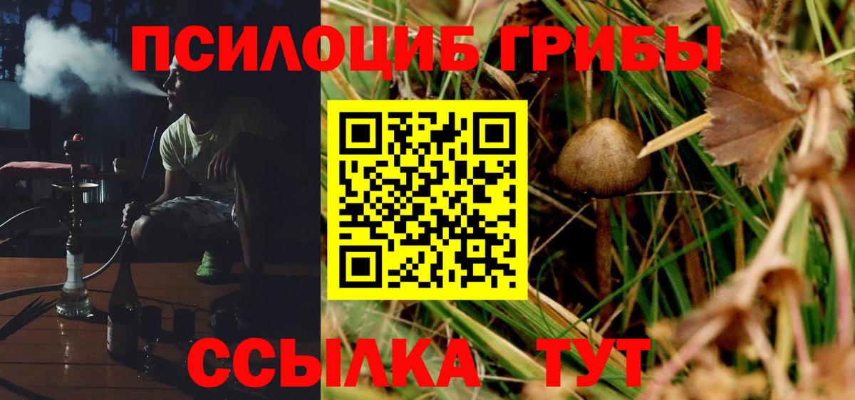 где продают наркотики  Вход с VPN  Калуга  Галлюциногенные грибы Magic Shrooms 